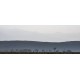 VT Trees Along the Hills C Final    US$8,000
