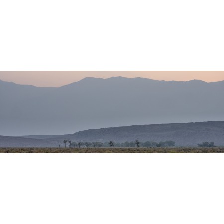 VT Trees Hills Sun Rise C    US$8,000